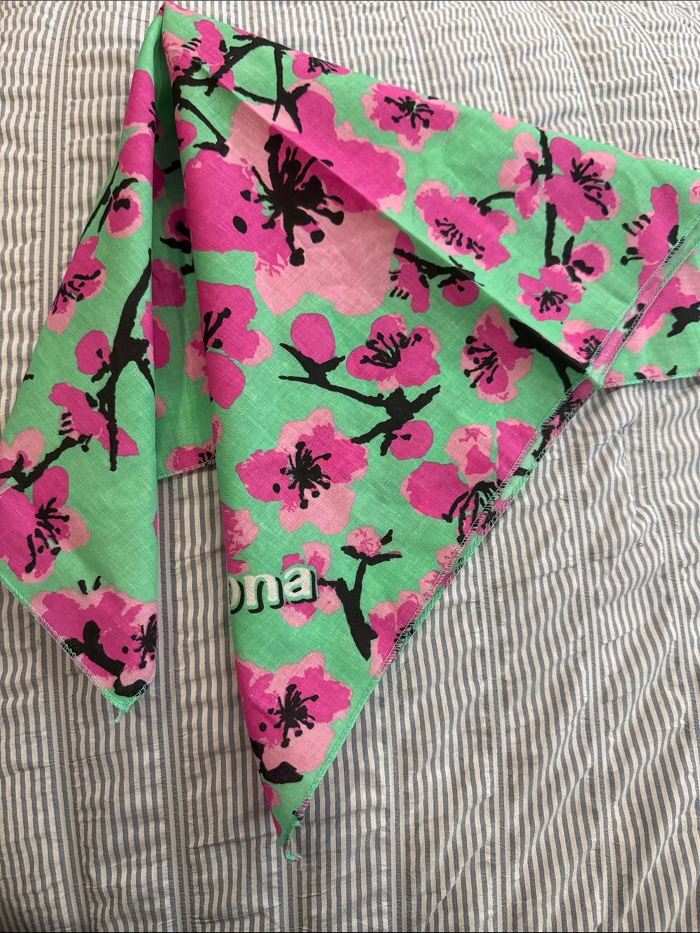 Arizona Jean Company Pink Floral Scarf on Mint Green